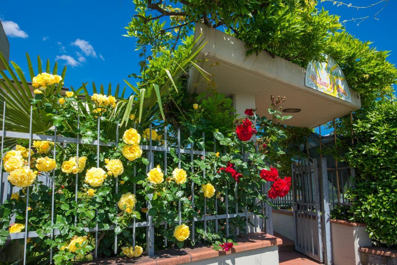 Bed & Breakfast Profumo D'Estate Agliana 外观 照片