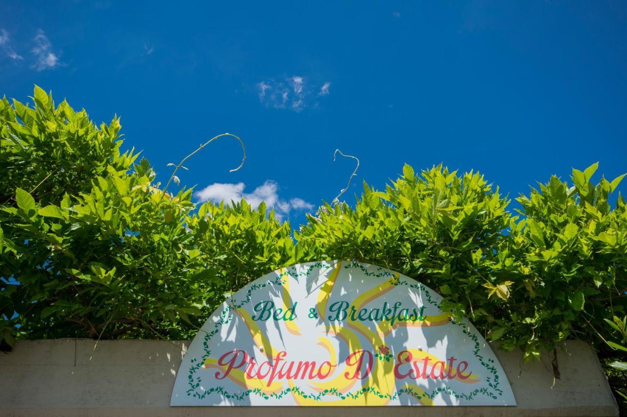 Bed & Breakfast Profumo D'Estate Agliana 外观 照片
